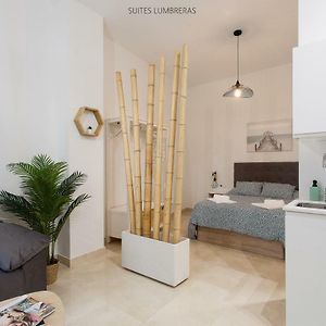 Deluxe Appartement met een Slaapkamer